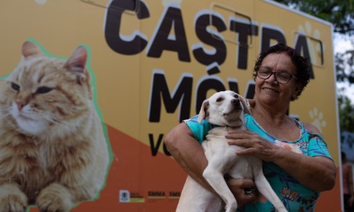 Castramóvel Volta Redonda: 160 vagas serão oferecidas para animais dos bairros Vila Rica e J. Tiradentes